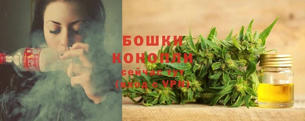 СК Магас
