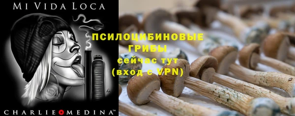 молекула духа Майский